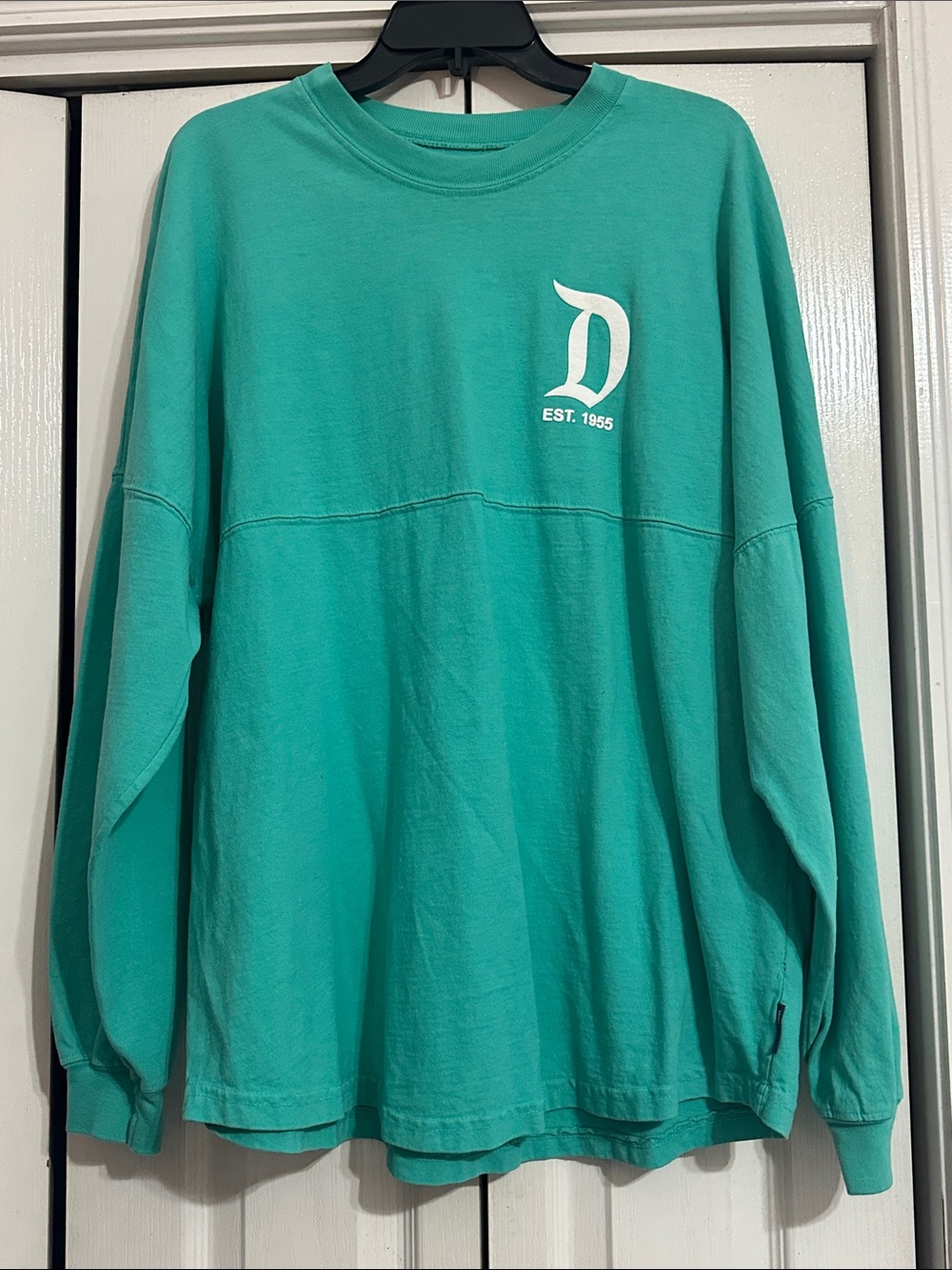 Disneyland Spirit jersey